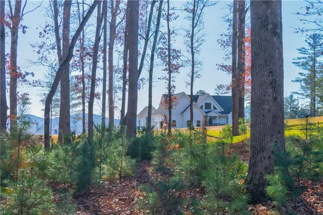 a view of a house with a yard and large trees