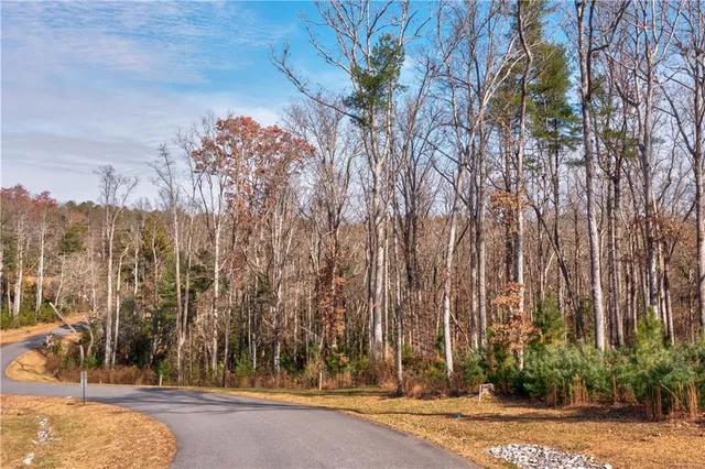 a view of a yard with trees