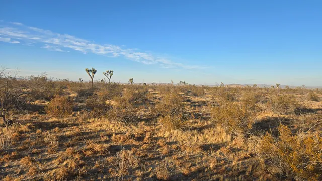 $11,000 | U4 & 257th Street East, Llano, CA 93544