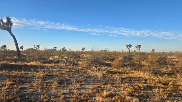 $11,000 | U4 & 257th Street East, Llano, CA 93544