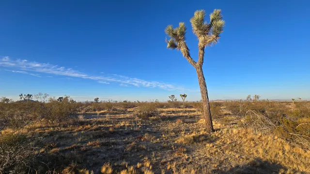 $11,000 | U4 & 257th Street East, Llano, CA 93544