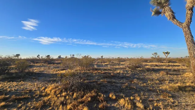 $11,000 | U4 & 257th Street East, Llano, CA 93544