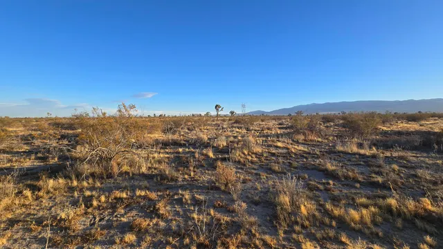 $11,000 | U4 & 257th Street East, Llano, CA 93544