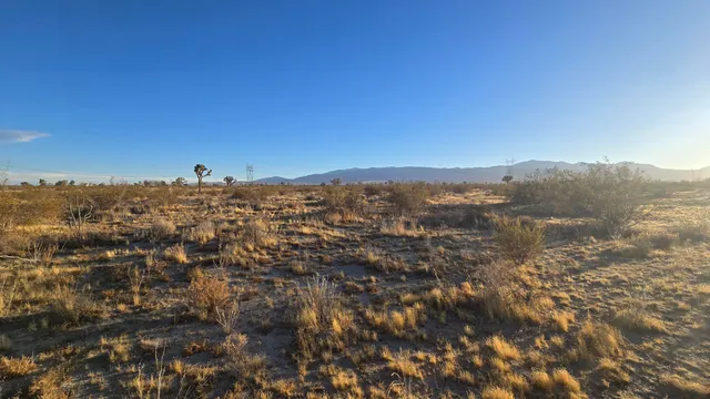 $11,000 | U4 & 257th Street East, Llano, CA 93544