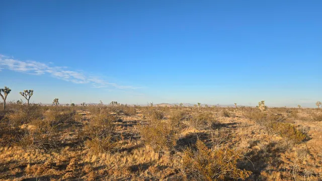 $11,000 | U4 & 257th Street East, Llano, CA 93544