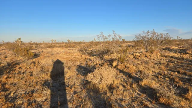 $11,000 | U4 & 257th Street East, Llano, CA 93544