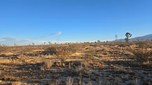 $11,000 | U4 & 257th Street East, Llano, CA 93544