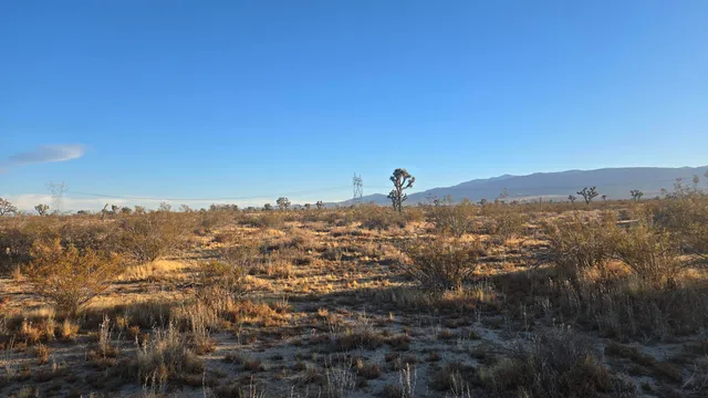 $11,000 | U4 & 257th Street East, Llano, CA 93544