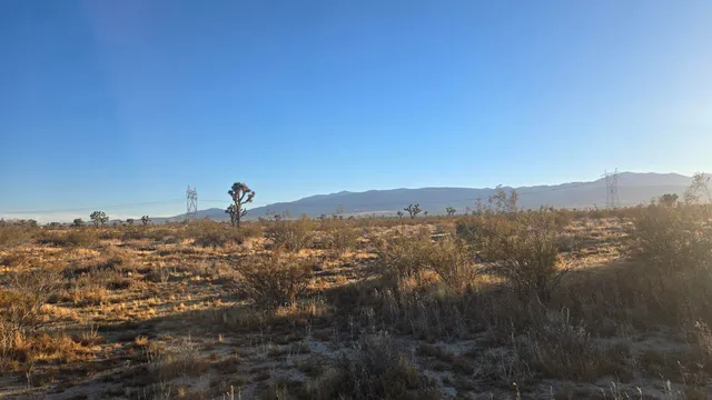 $11,000 | U4 & 257th Street East, Llano, CA 93544