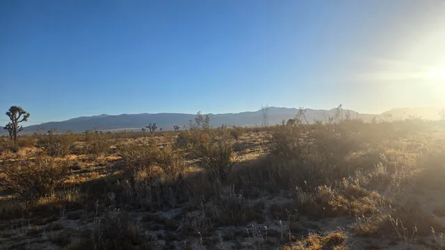 $11,000 | U4 & 257th Street East, Llano, CA 93544