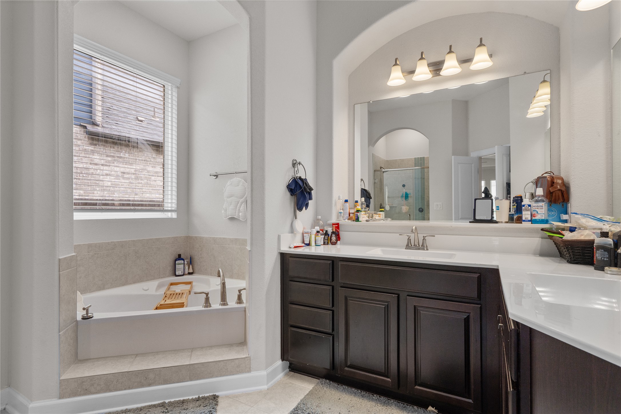 130 Wild Pecan Loop Buda, TX 78610 - Photo 15 of 31 Spacious bathroom featuring a built-in corner soaking tub with tiled surround, a large vanity with dual sinks, dark wood-finish cabinetry, a generous countertop, and an expansive mirror with overhead lighting