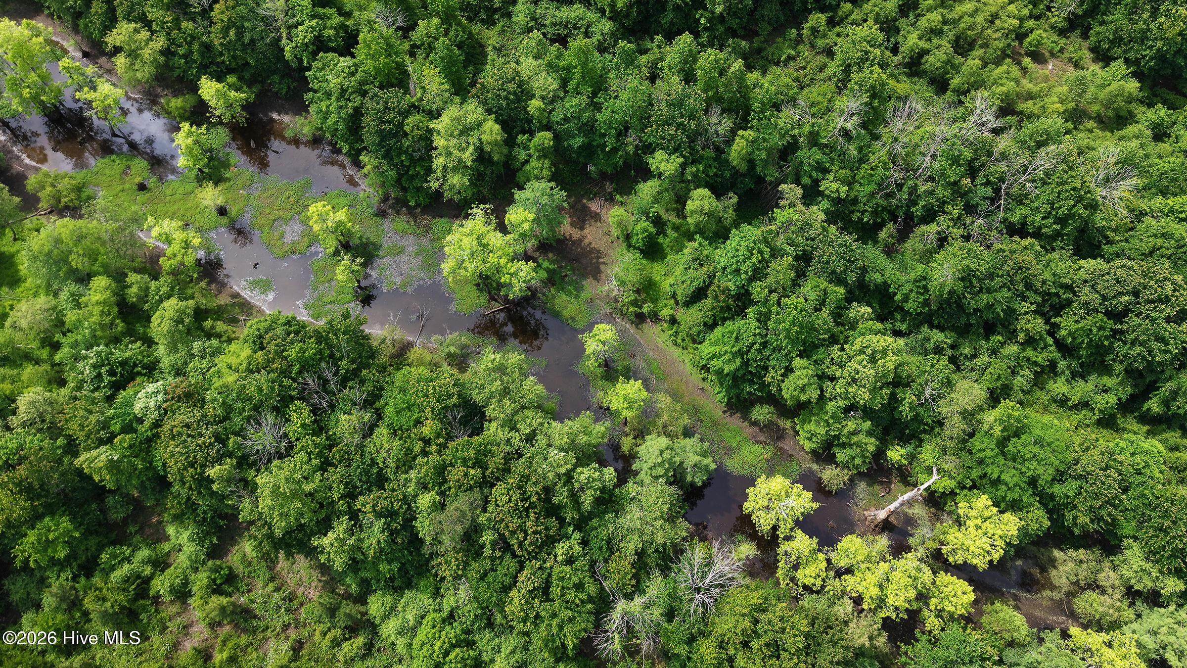 1016 Wiley Gaskins Road Grifton, NC 28530 - Photo 66 of 79 73-print-Drone 1016 Wiley Gaskins Road-4