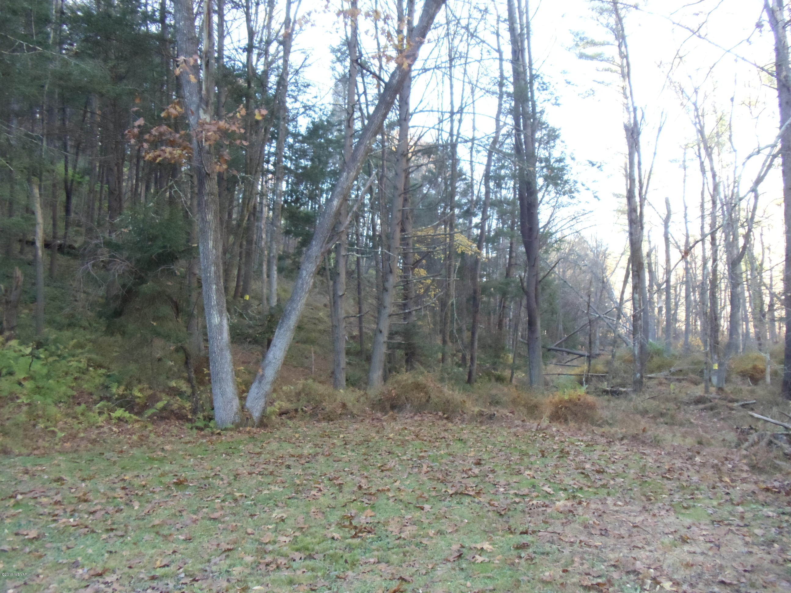 363 Laurel Run Road Hughesville, PA 17737 - Photo 13 of 38 Gallery Image 13