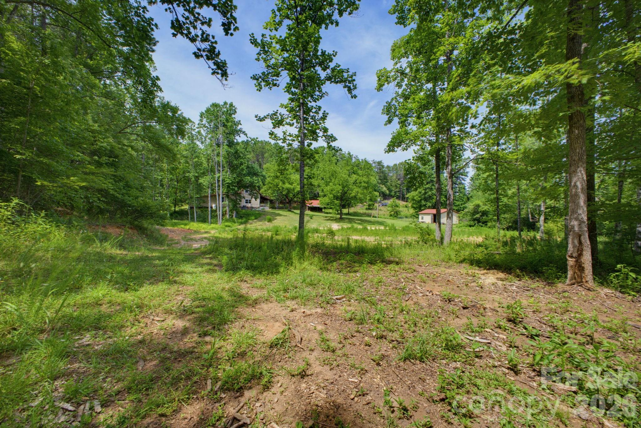 1239 Mcguinn Road Mill Spring, NC 28756 - Photo 39 of 47
