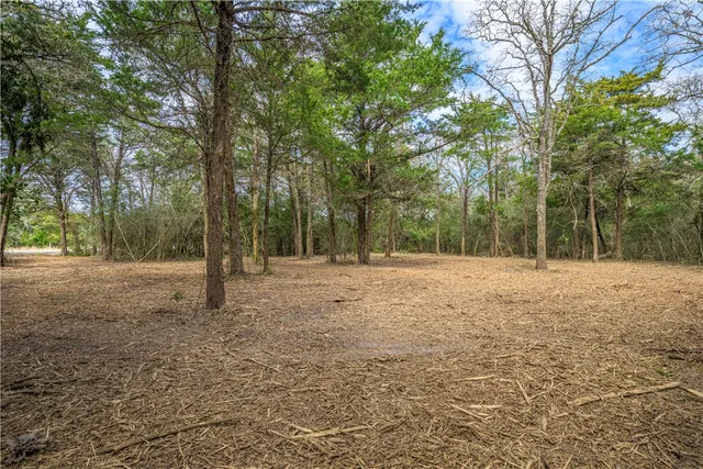 a view of outdoor space with trees