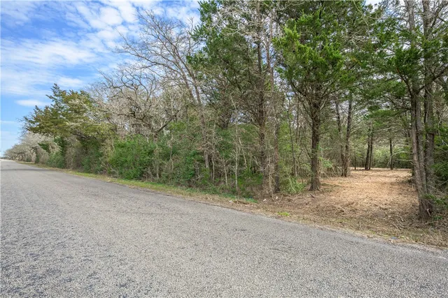 a view of a dirt road with trees in the background