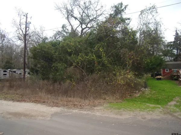 a view of a yard with a tree