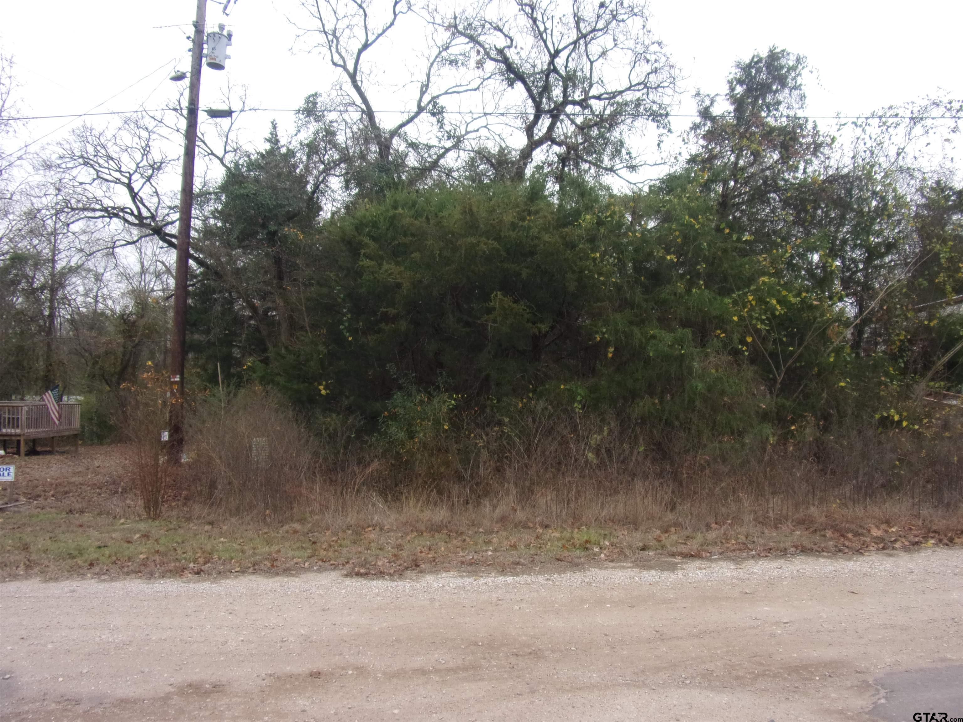Tbd East Tbd E Elm Murchison, TX 75778 - Photo 2 of 14 a view of a yard and a forest