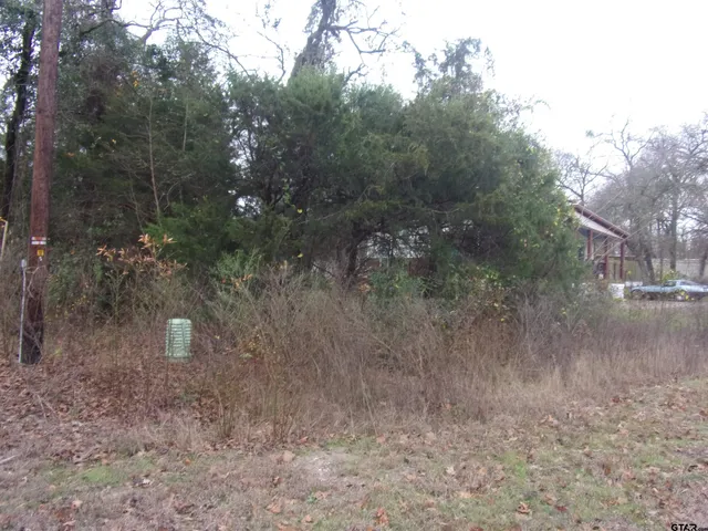 $10,900 | Tbd East Tbd E Elm, Murchison, TX 75778