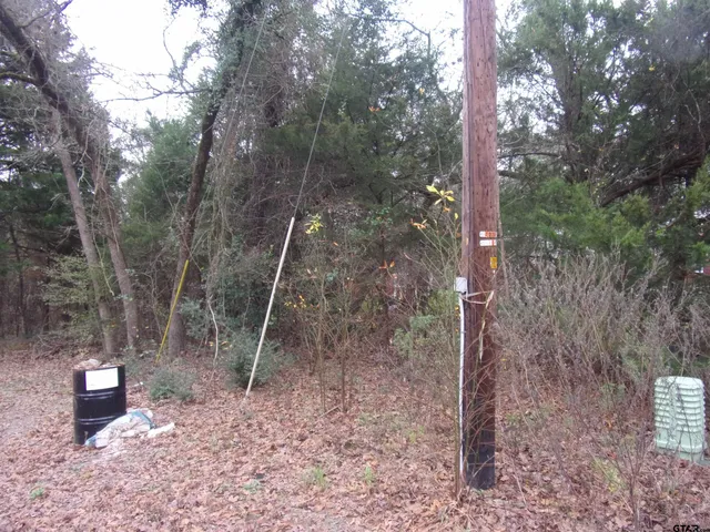 $10,900 | Tbd East Tbd E Elm, Murchison, TX 75778