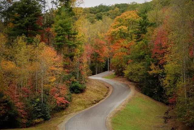 $89,900 | Lot 3 Wild Laurel, Brasstown, NC 28902