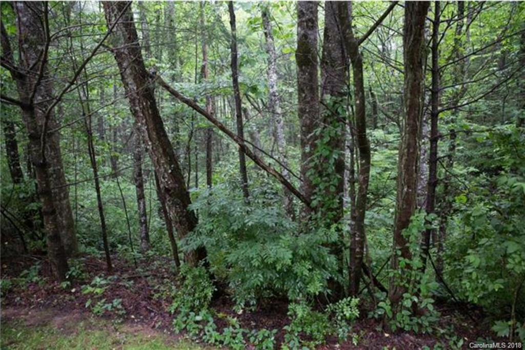 26 Legendary Road, Unit 64 Hendersonville, NC 28739 - Photo 2 of 14 Gallery Image 2