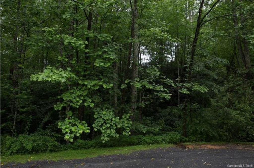 26 Legendary Road, Unit 64 Hendersonville, NC 28739 - Photo 11 of 14 Gallery Image 11