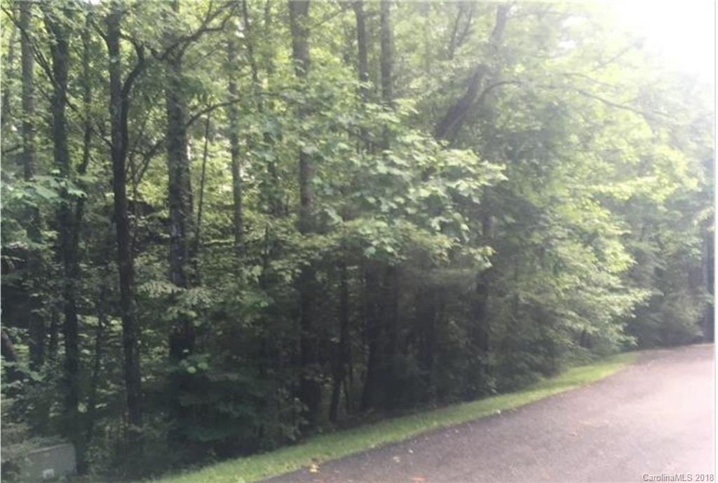 26 Legendary Road, Unit 64 Hendersonville, NC 28739 - Photo 12 of 14 Gallery Image 12
