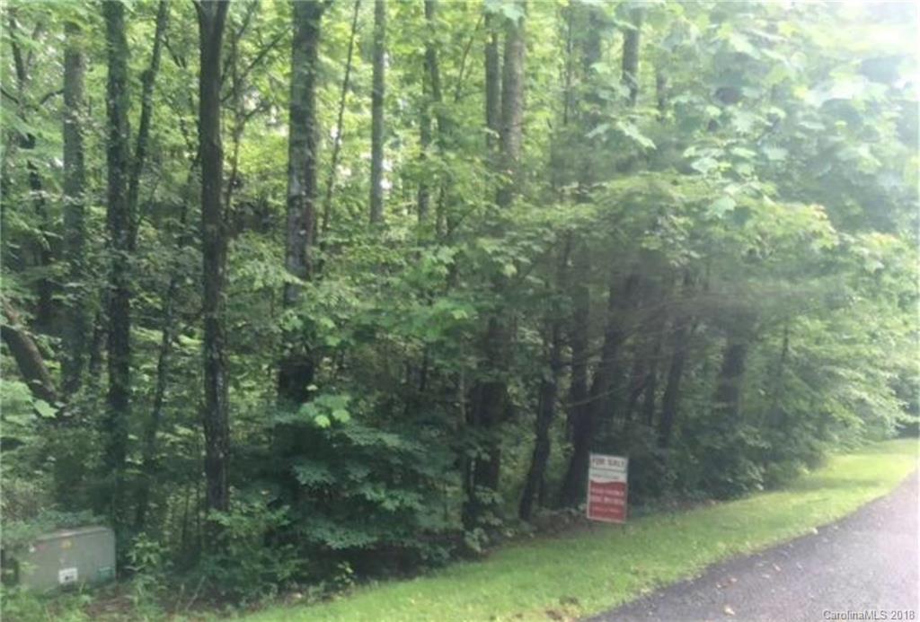 26 Legendary Road, Unit 64 Hendersonville, NC 28739 - Photo 14 of 14 Gallery Image 14