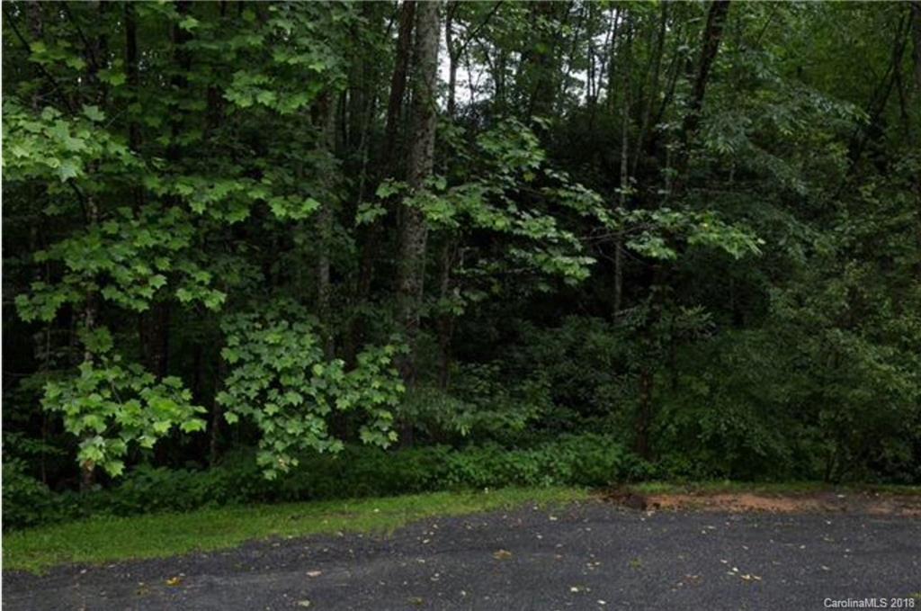 26 Legendary Road, Unit 64 Hendersonville, NC 28739 - Photo 6 of 14 Gallery Image 6