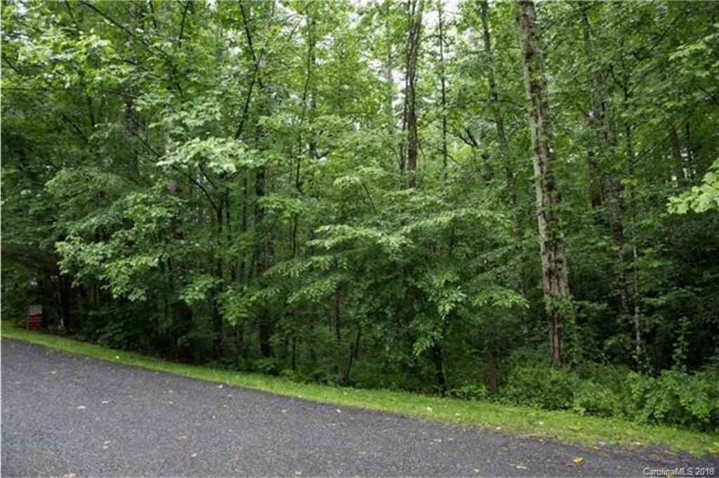 26 Legendary Road, Unit 64 Hendersonville, NC 28739 - Photo 7 of 14 Gallery Image 7
