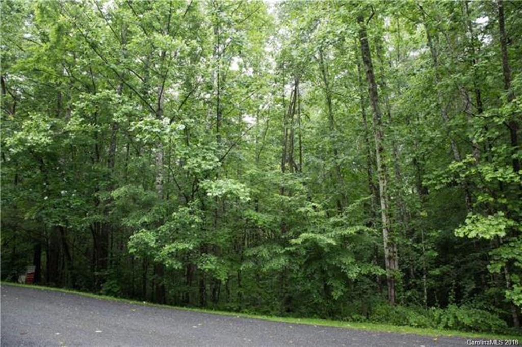 26 Legendary Road, Unit 64 Hendersonville, NC 28739 - Photo 9 of 14 Gallery Image 9