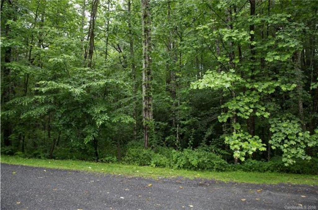 26 Legendary Road, Unit 64 Hendersonville, NC 28739 - Photo 10 of 14 Gallery Image 10