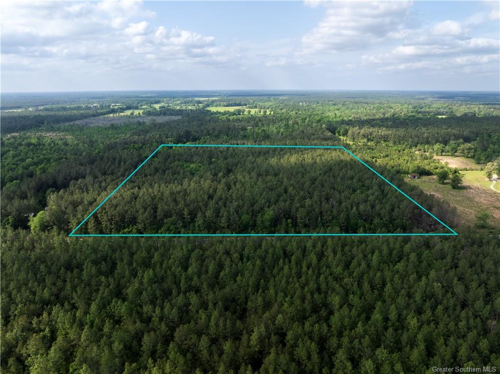 0 Morrow Bridge Road Dry Creek, LA 70637 - Photo 3 of 6