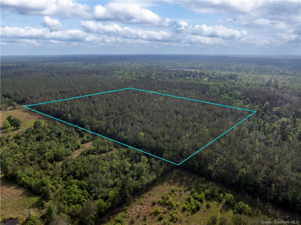 0 Morrow Bridge Road Dry Creek, LA 70637 - Photo 4 of 6