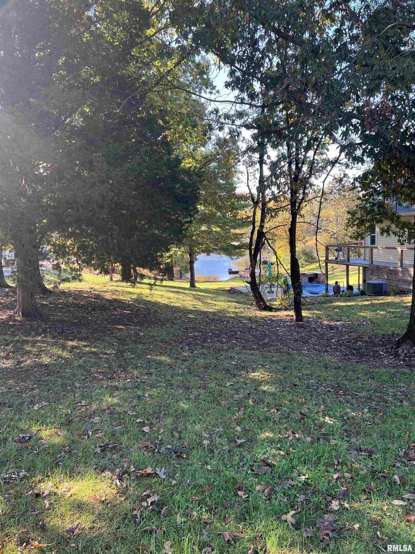 a view of yard with tree