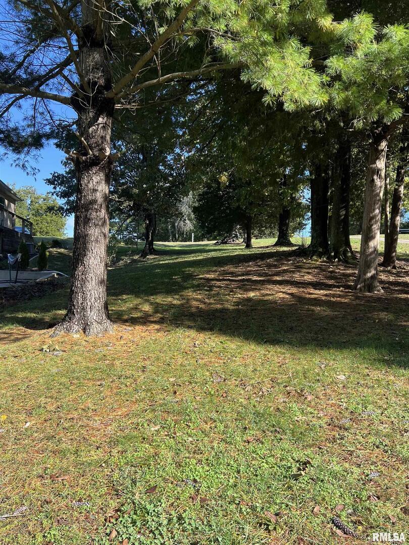 0 Egypt Shores Road Creal Springs, IL 62922 - Photo 5 of 6 a view of a lake view