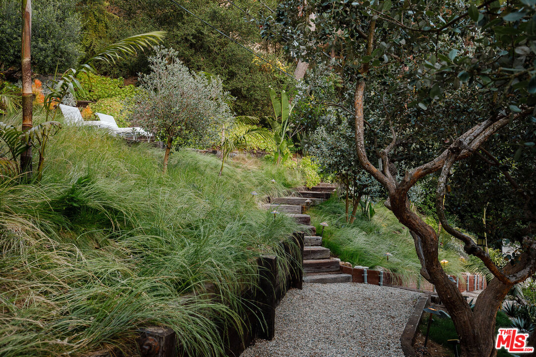 2544 Greenvalley Road Los Angeles, CA 90046 - Photo 50 of 56 a view of outdoor space and yard