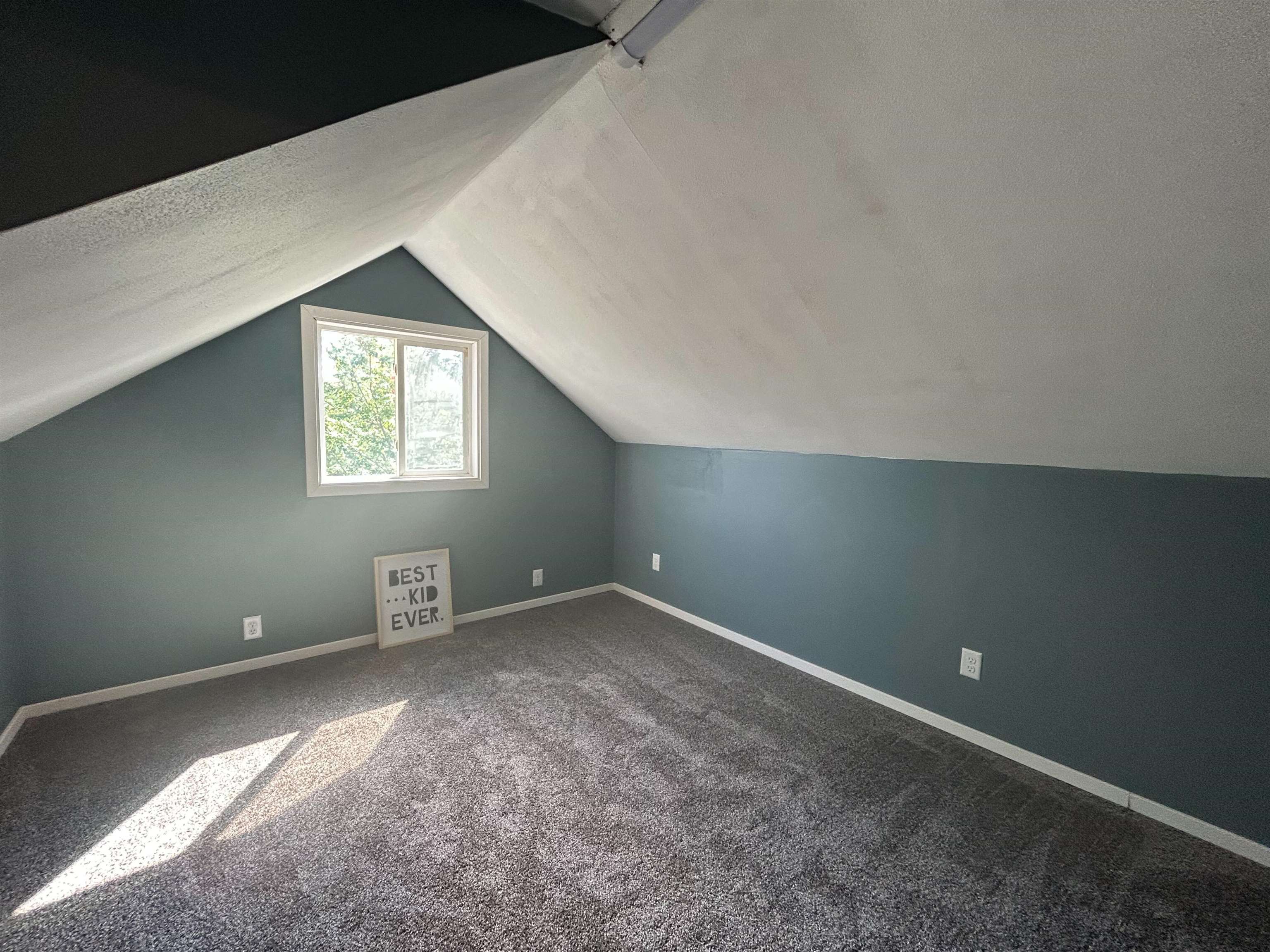 103 Sharon Street Buhl, MN 55713 - Photo 20 of 30