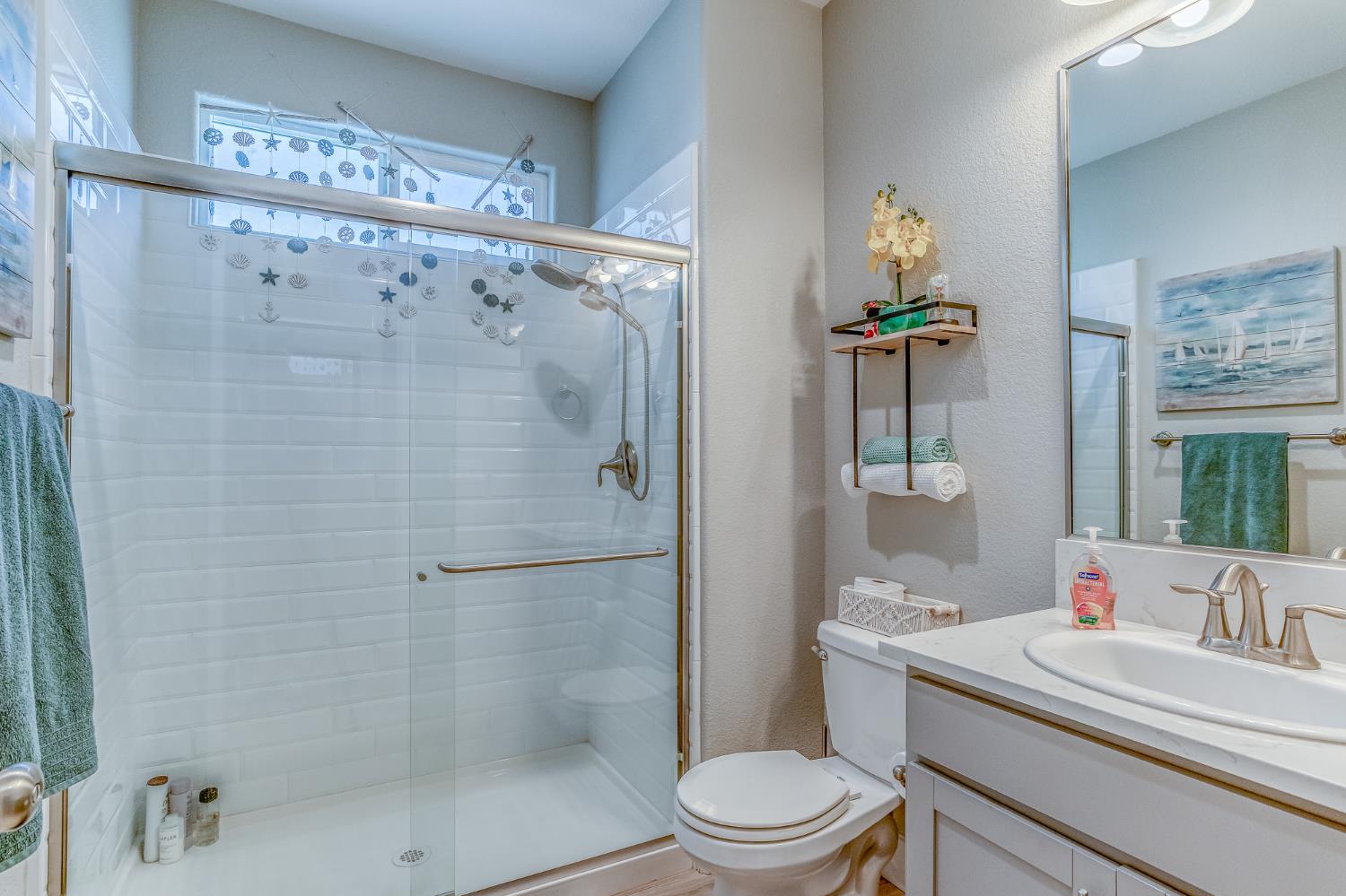 1680 Dedini Lane Ripon, CA 95366 - Photo 8 of 41 Main Floor Downstairs Full Bath