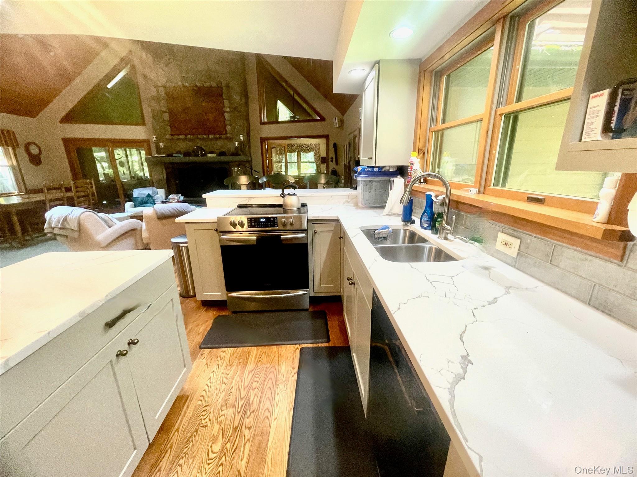111 Deer Meadow Road Bethel, NY 12786 - Photo 11 of 43 a kitchen with stainless steel appliances granite countertop a sink and a stove