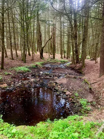 a backyard of a house with lots of green space