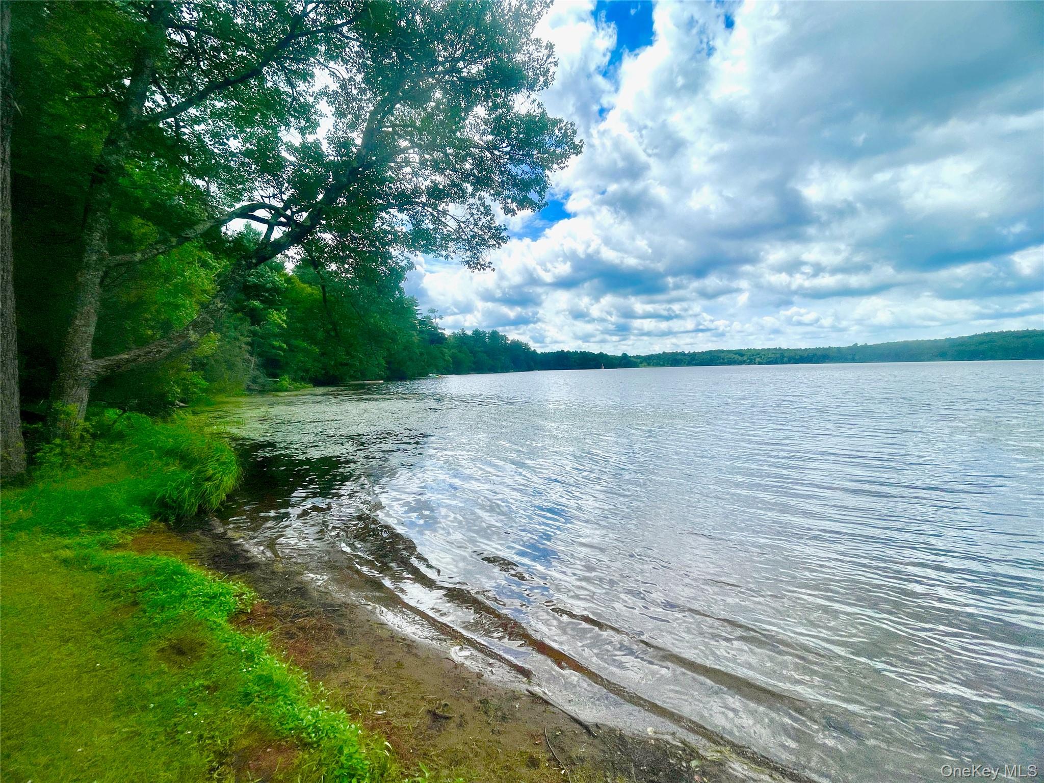 111 Deer Meadow Road Bethel, NY 12786 - Photo 41 of 43 a view of a lake view