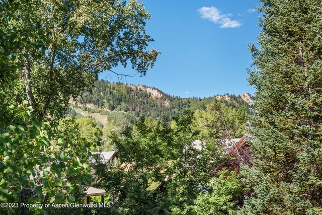 $30,000 | 126 Park Avenue, Unit 2, Aspen, CO 81611