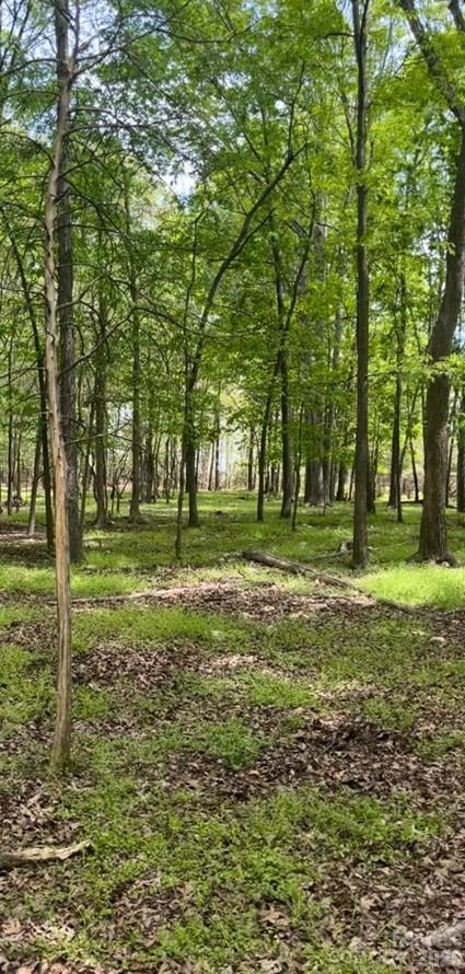 1 Wolf Pond Road Monroe, NC 28112 - Photo 4 of 4