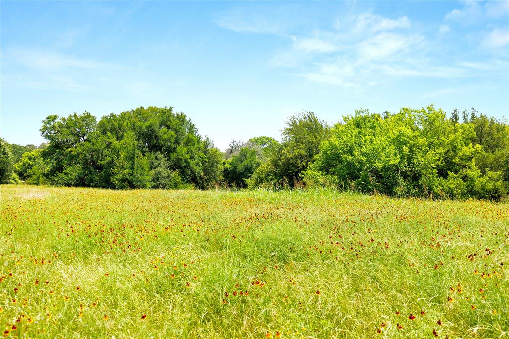 962-oak And Clover Ridge McGregor, TX 76657 - Photo 15 of 32 Gallery Image 15