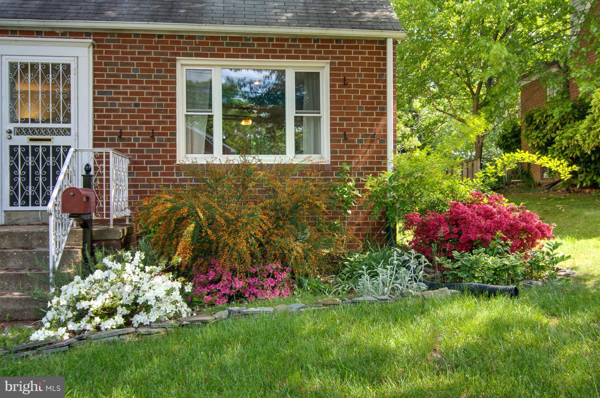 Front garden