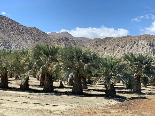 $30,000,000 | 82501 65th Avenue, Thermal, CA 92274