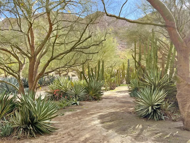 $30,000,000 | 82501 65th Avenue, Thermal, CA 92274