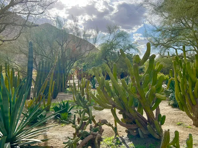 $30,000,000 | 82501 65th Avenue, Thermal, CA 92274